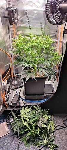 IMG_20250526_173922
