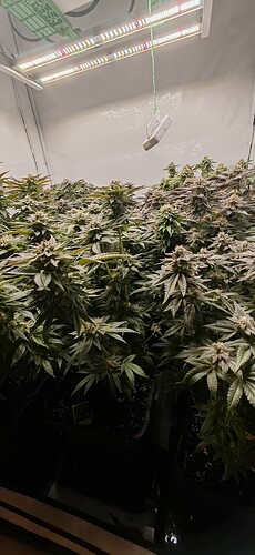 Growreport Bild 7