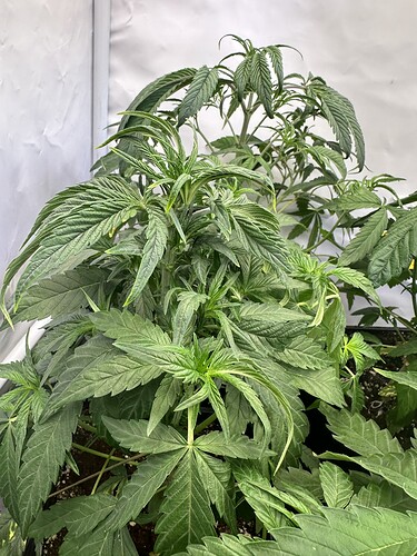 Growreport Bild 7