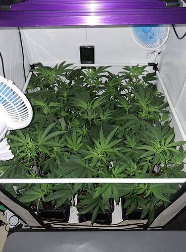 Growreport Bild 45