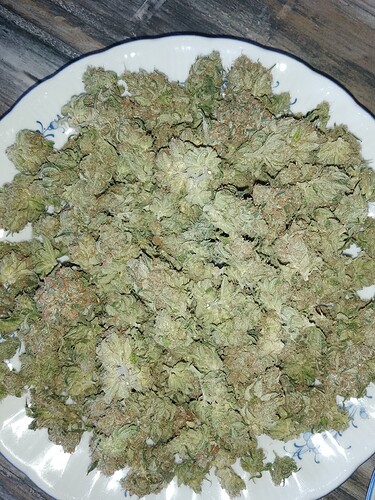 IMG_20240810_194402_450