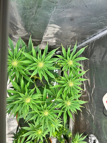 Growreport Bild 9