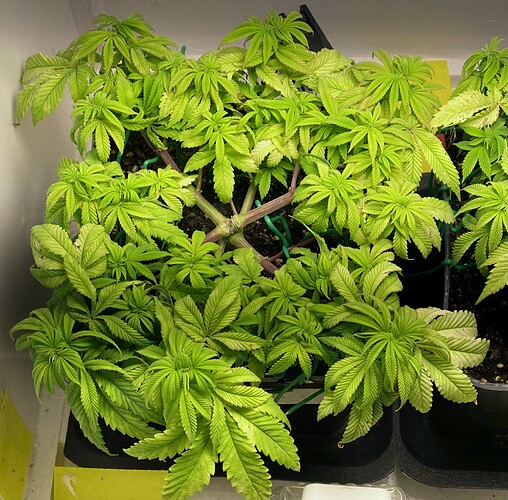 Growreport Bild 10