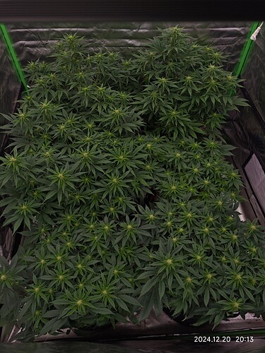 Growreport Bild 11