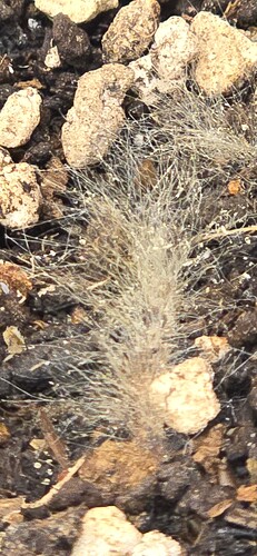 Growreport Bild 13