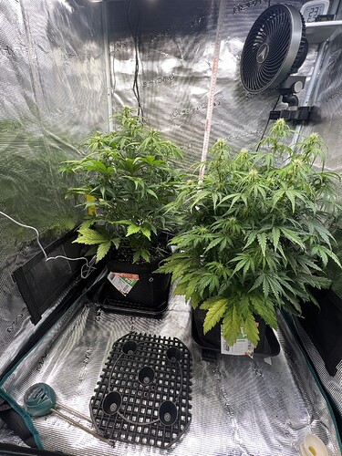 Growreport Bild 10
