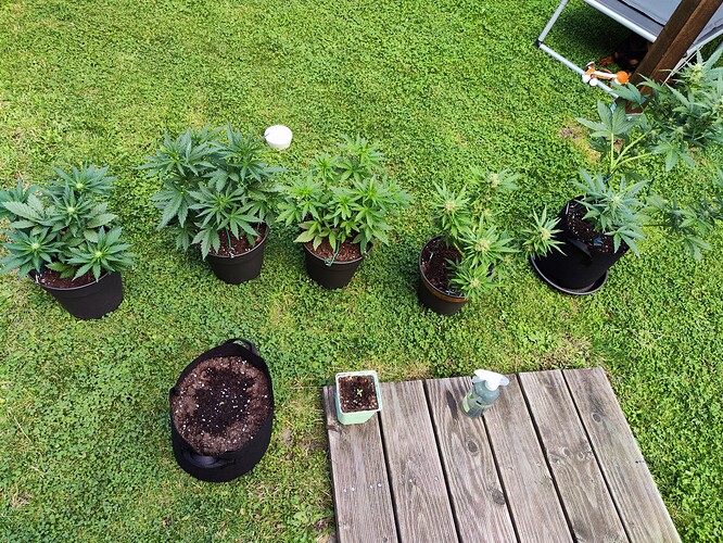 Growreport Bild 10