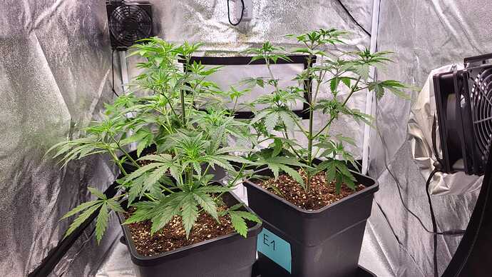 Growreport Bild 19
