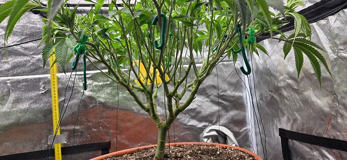 Growreport Bild 9