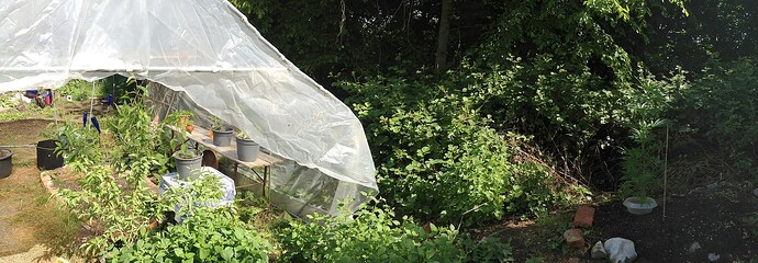 Grow25_0526_02