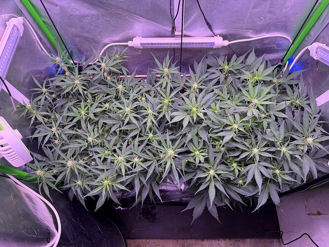 Growreport Bild 11
