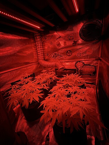 Growreport Bild 20