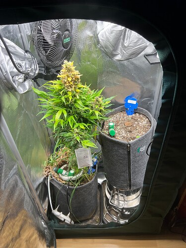 Growreport Bild 12