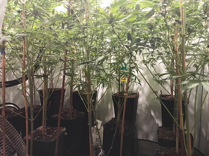 Growreport Bild 47