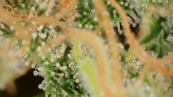 Growreport Bild 14