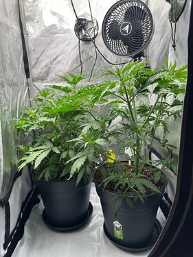Growreport Bild 12