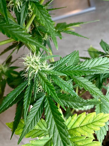 Growreport Bild 11