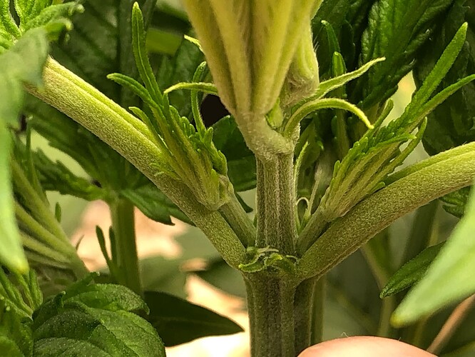 Growreport Bild 18