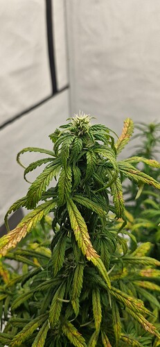 Growreport Bild 17