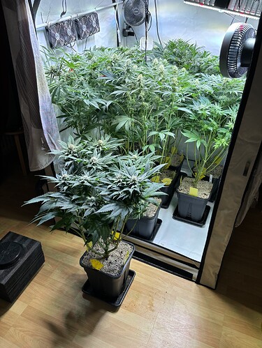 Growreport Bild 54