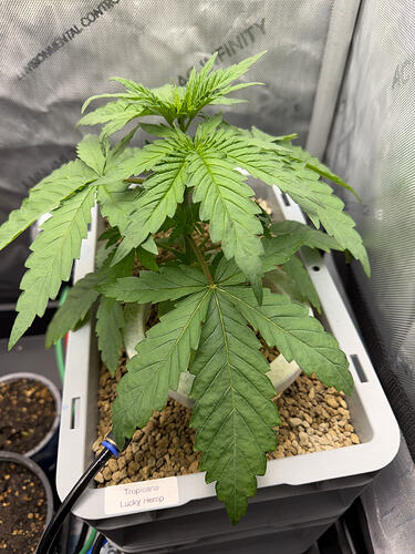 IMG_6211