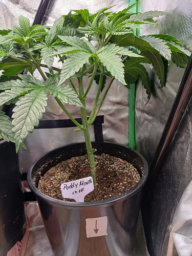 Growreport Bild 7