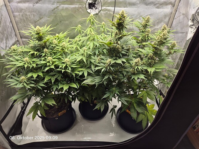 Growreport Bild 12