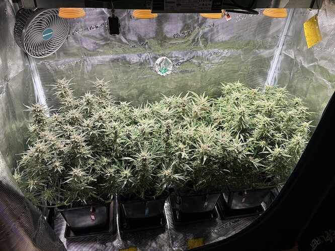 Growreport Bild 1