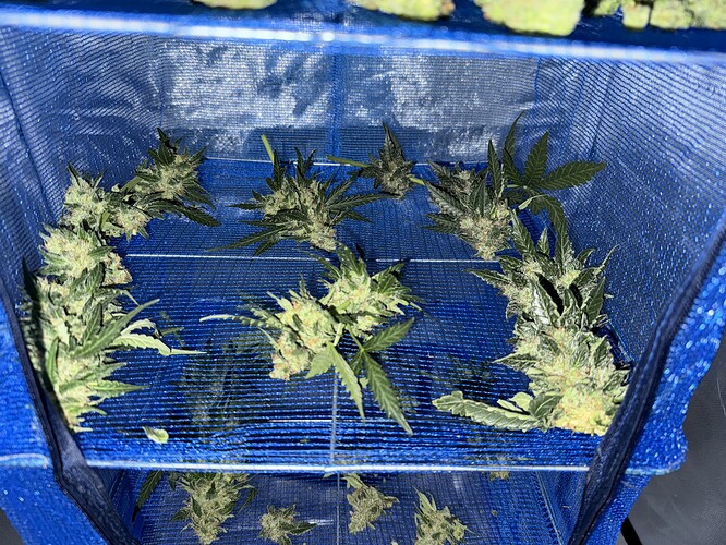 Growreport Bild 4