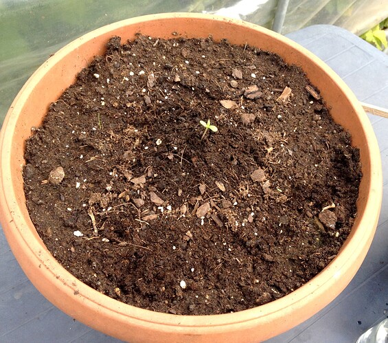 Growreport Bild 22
