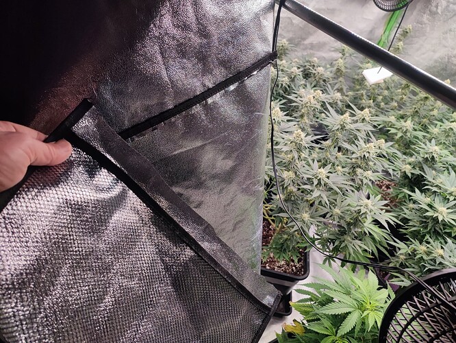 Growreport Bild 20
