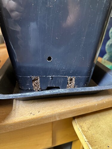 Growreport Bild 72
