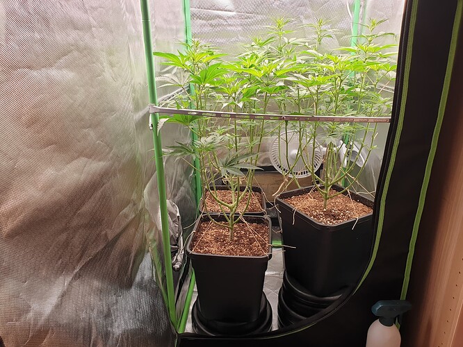 Growreport Bild 4