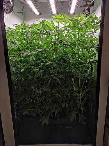 Growreport Bild 4