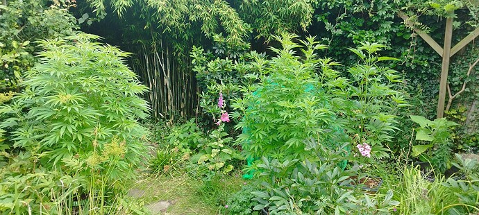 Growreport Bild 13