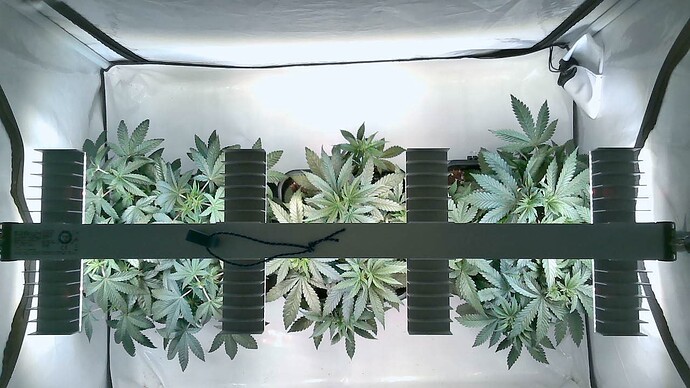 Growreport Bild 11