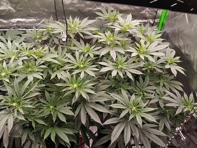 Growreport Bild 15
