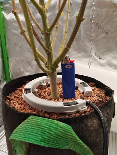 Growreport Bild 23