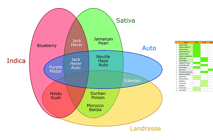 Eine Venn-Diagramm-Grafik, die verschiedene Cannabissorten nach Kategorien wie Indica, Sativa, Auto und Landrasse klassifiziert.