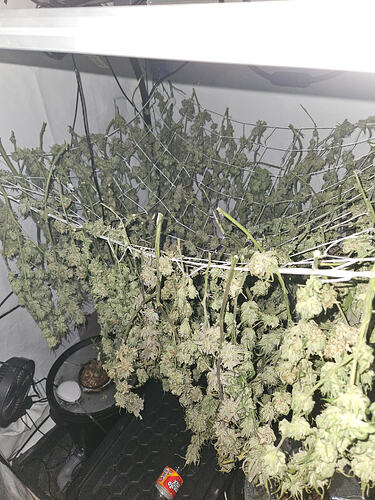 Growreport Bild 9