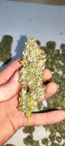 Growreport Bild 11