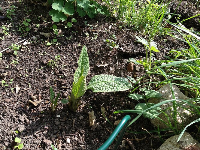 Growreport Bild 48
