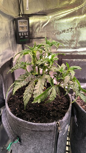 Growreport Bild 5