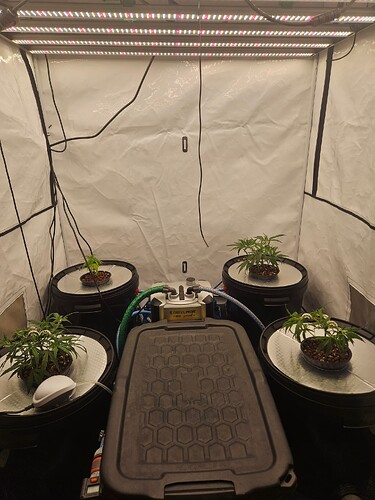 Growreport Bild 5