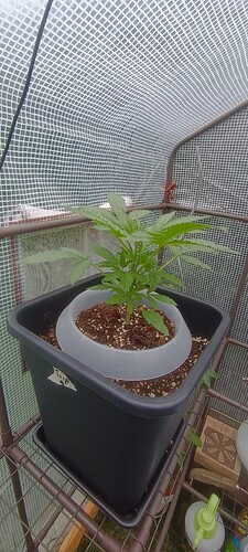 IMG_20240710_151308
