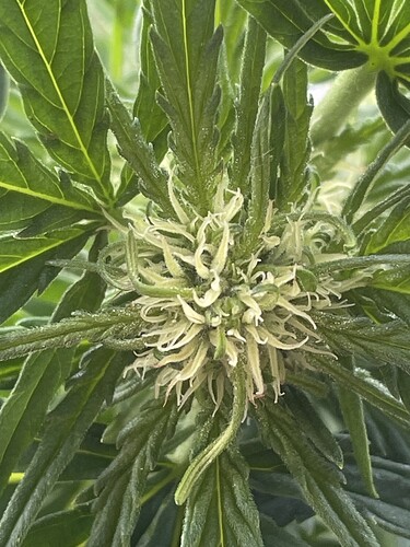 Growreport Bild 21
