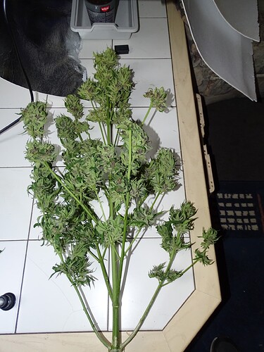 Growreport Bild 10