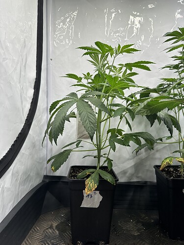 Growreport Bild 9