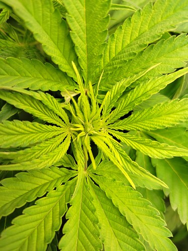 Growreport Bild 11