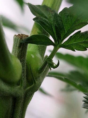 Growreport Bild 15